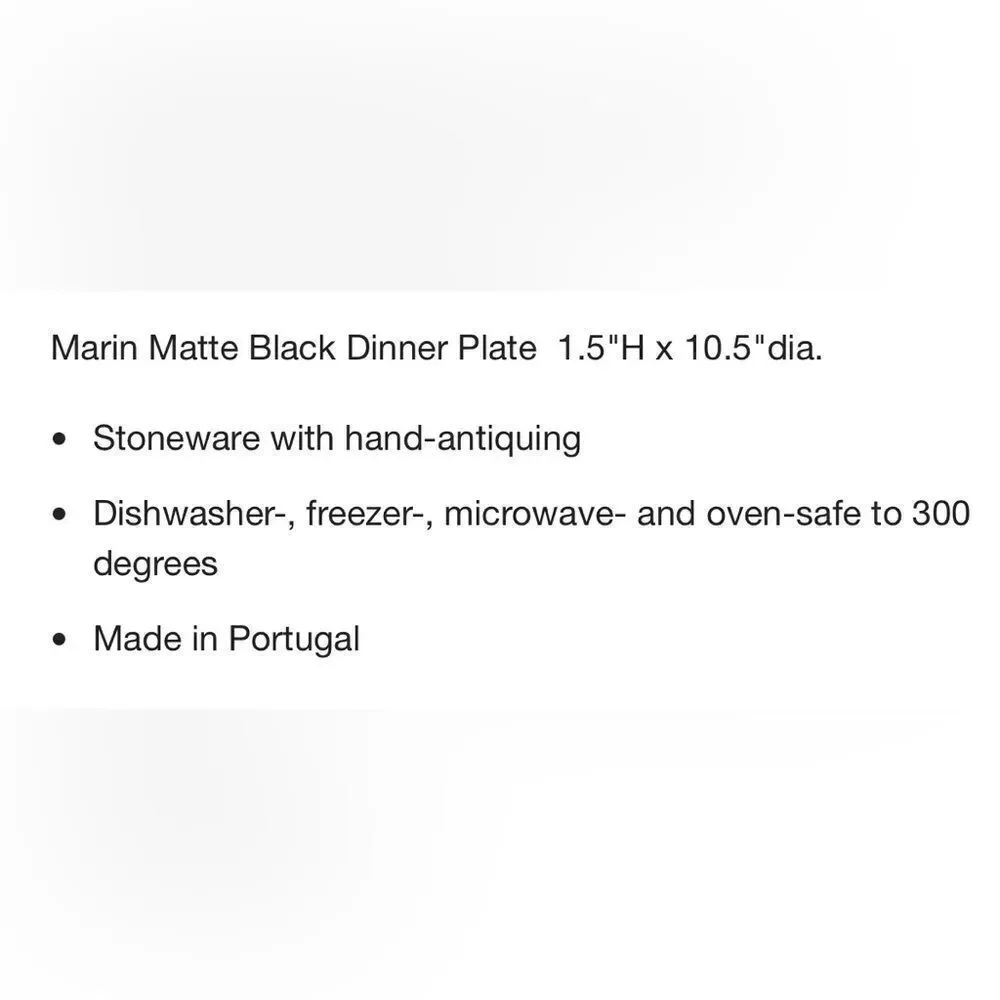 Crate&Barrel Marin Black Dinner Plate Portugal 10 1/2 In Round 1 1/2 In Tall